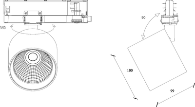 КАПО 100